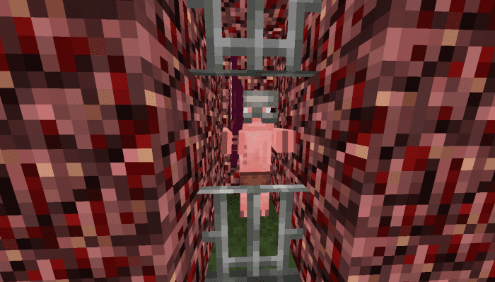 Old Pigman Plus Addon (1.21, 1.20) – MCPE/Bedrock Mod — screenshot 6
