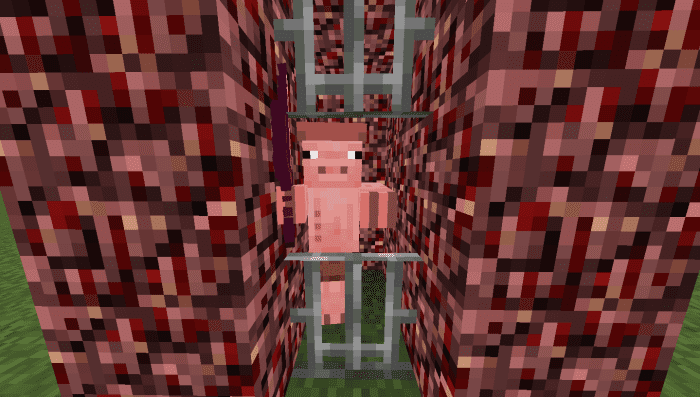 Old Pigman Plus Addon (1.21, 1.20) – MCPE/Bedrock Mod — screenshot 8