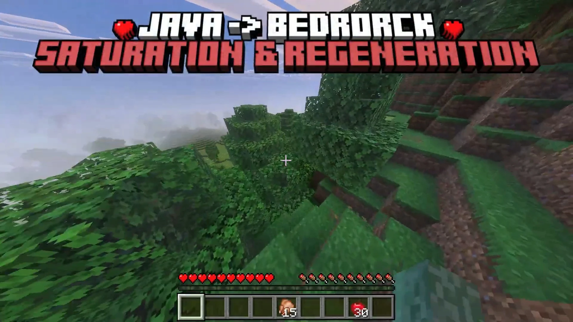 Java Saturation and Regeneration Addon (26.x, 1.21) – MCPE/Bedrock Mod — screenshot 1