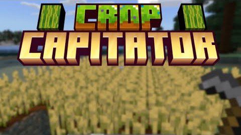 Complete Capitator Addon (26.x, 1.21) – MCPE/Bedrock Mod — screenshot 3