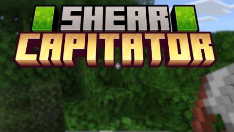 Complete Capitator Addon (26.x, 1.21) – MCPE/Bedrock Mod — screenshot 4