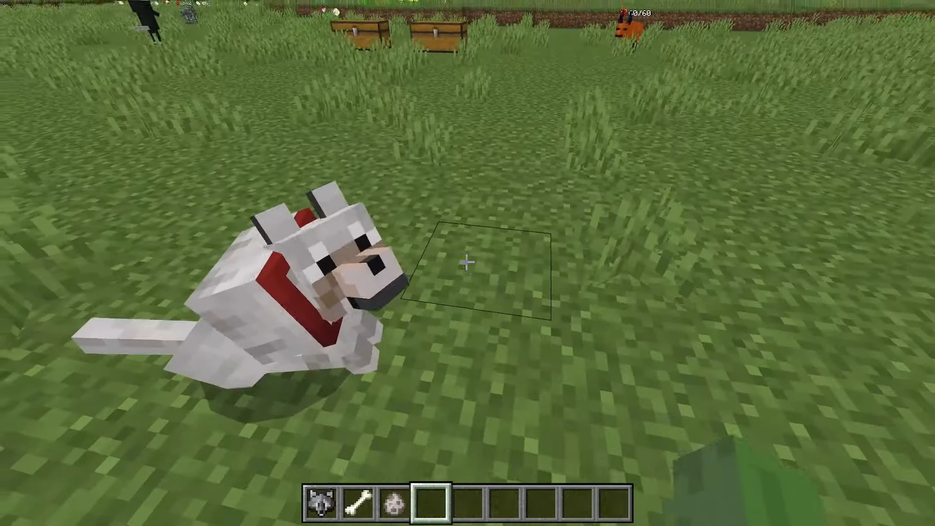Wolf Enhanced AI Addon (26.x, 1.21) – MCPE/Bedrock Mod — screenshot 2