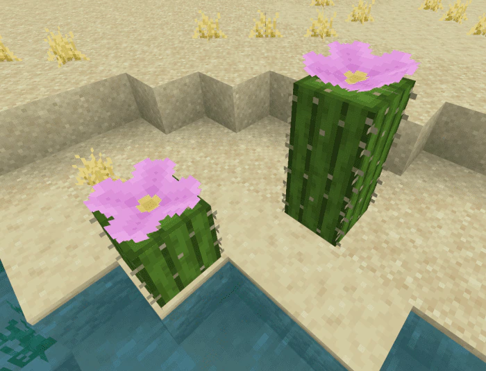 Natural Structure Redone Addon (1.21, 1.20) – MCPE/Bedrock Mod — screenshot 8