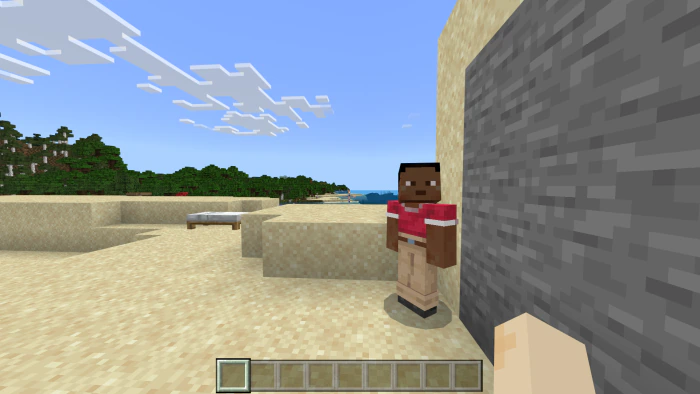 NameTag Hidden Addon (26.x, 1.21) – MCPE/Bedrock — screenshot 2