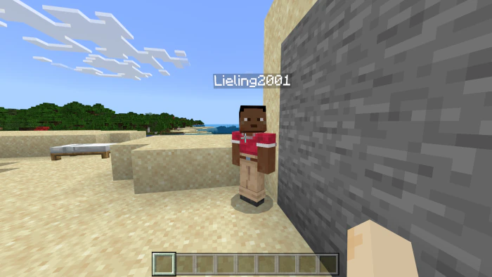 NameTag Hidden Addon (26.x, 1.21) – MCPE/Bedrock — screenshot 3