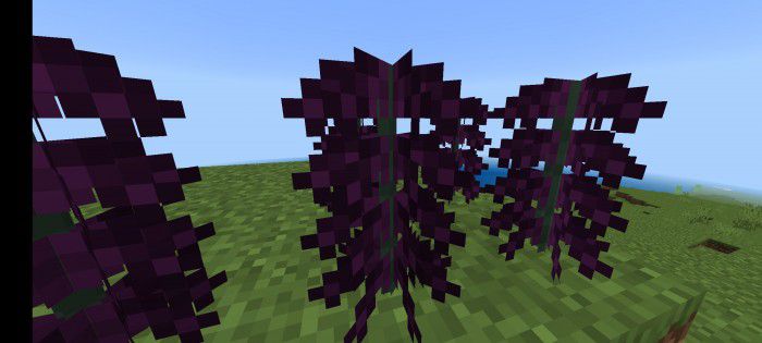 Werewolf Evolution Addon (1.21, 1.20) – MCPE/Bedrock Mod — screenshot 3