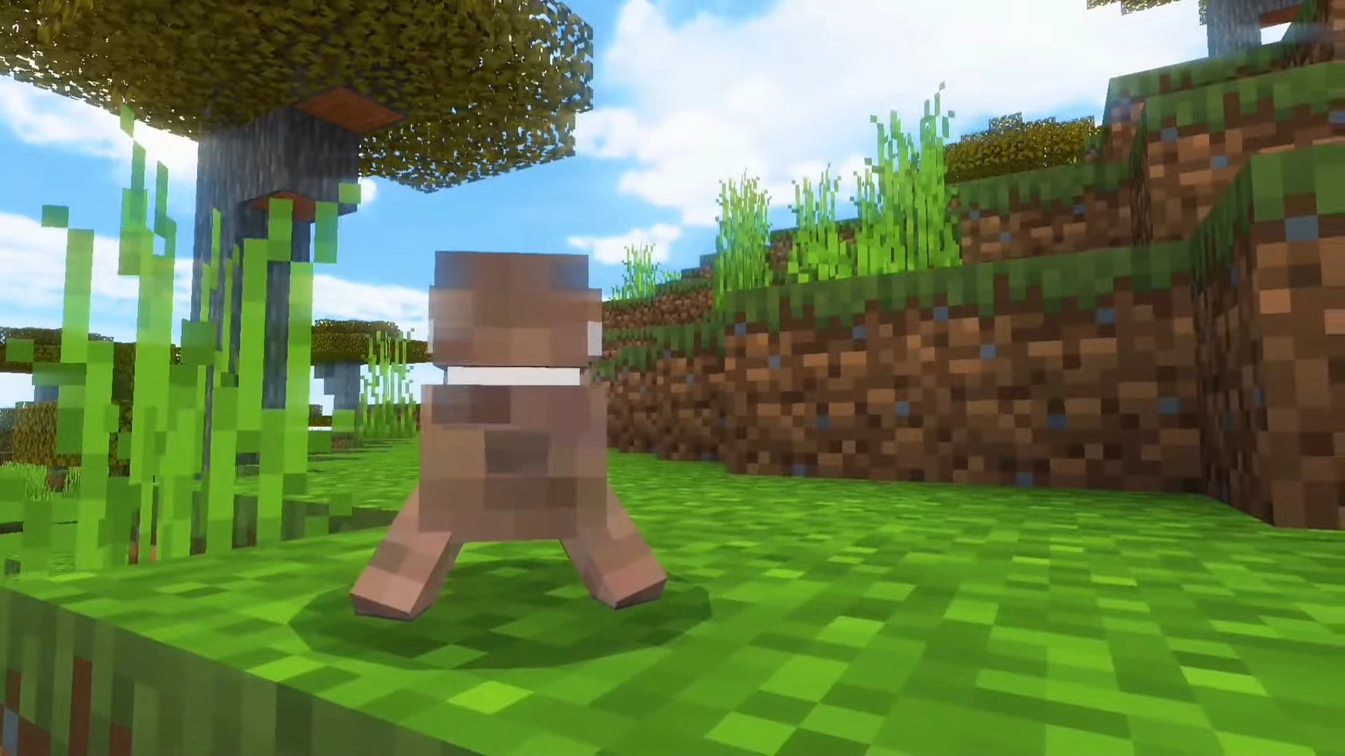 Experiment Sheep Addon (26.x, 1.21) – MCPE/Bedrock Mod — screenshot 4