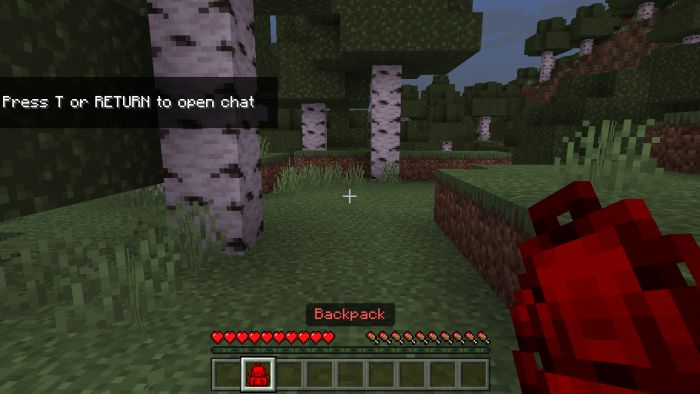 Multi Backpack Addon (26.x, 1.21+) – MCPE/Bedrock Mod — screenshot 8