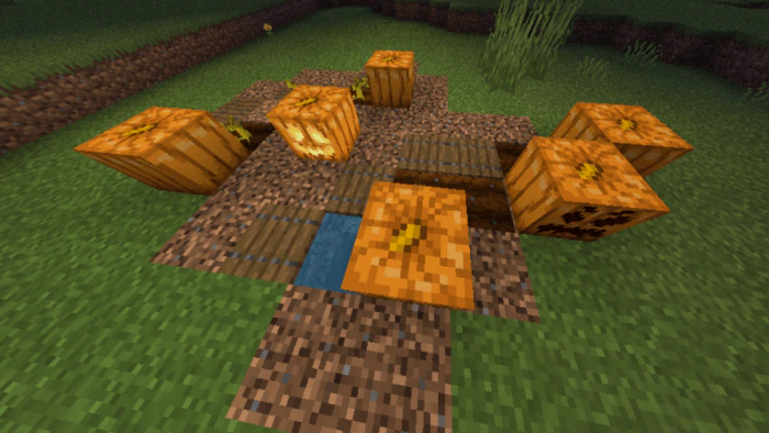 Better Pumpkins Addon (1.21, 1.20) – MCPE/Bedrock Mod — screenshot 1