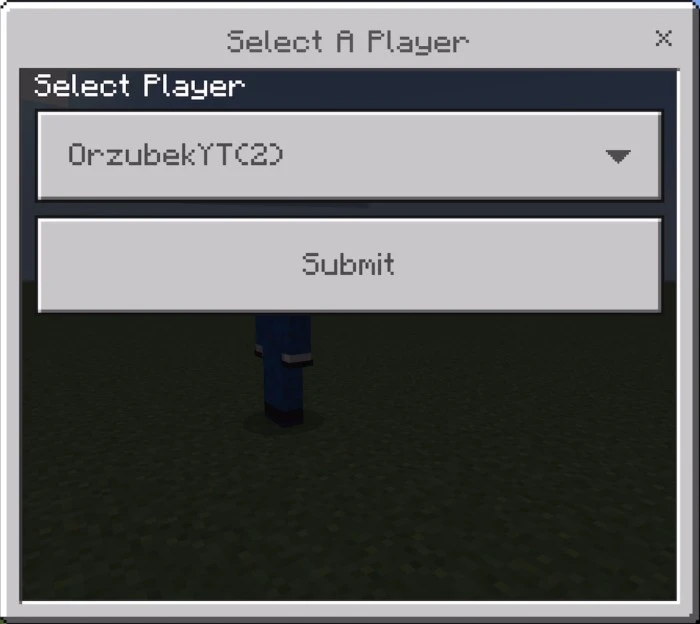 Player Rename Addon (1.21, 1.20) – MCPE/Bedrock Mod — screenshot 6