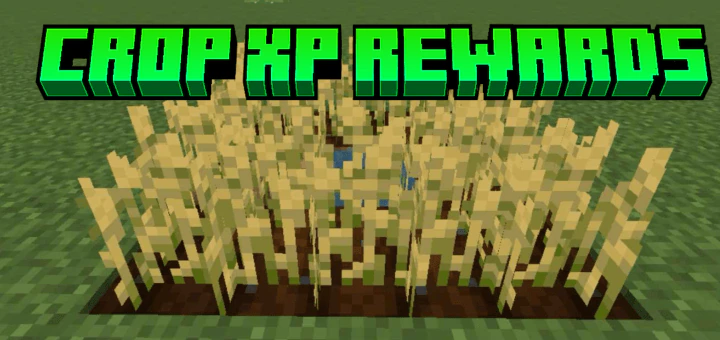 Crop XP Rewards Addon (26.x, 1.21) – MCPE/Bedrock Mod