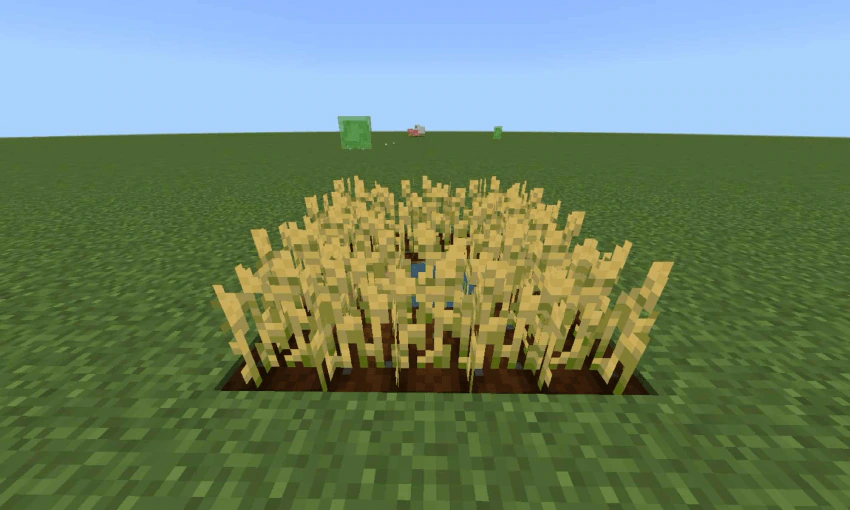 Crop XP Rewards Addon (26.x, 1.21) – MCPE/Bedrock Mod — screenshot 1