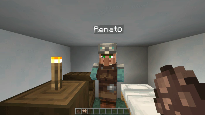 Who's That Villager? Addon (1.21, 1.20) – MCPE/Bedrock Random Name Mod — screenshot 1