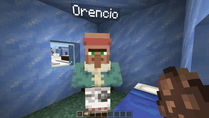Who's That Villager? Addon (1.21, 1.20) – MCPE/Bedrock Random Name Mod — screenshot 2