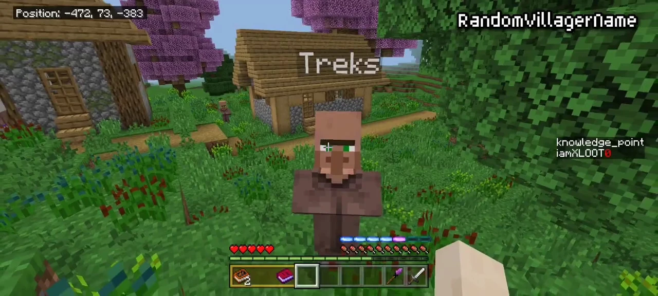 Who's That Villager? Addon (1.21, 1.20) – MCPE/Bedrock Random Name Mod — screenshot 3