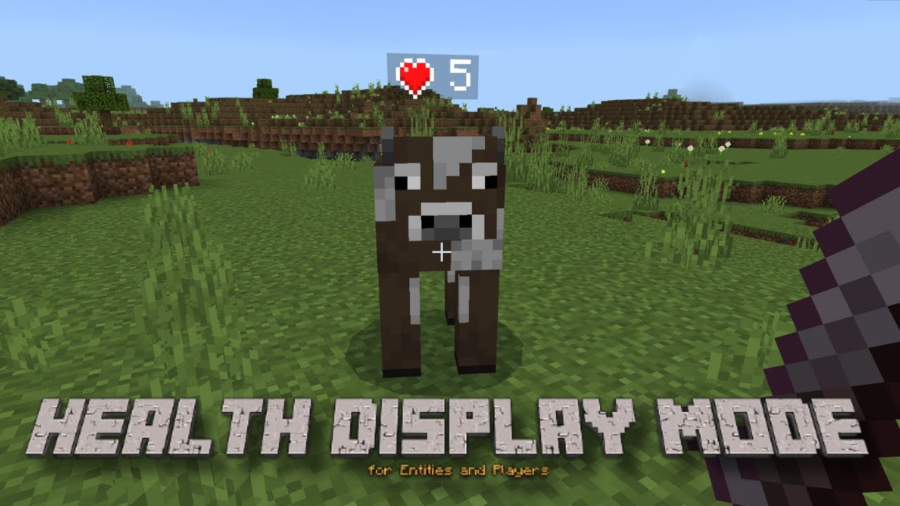 Health Display Addon (26.x, 1.21) – MCPE/Bedrock Mod