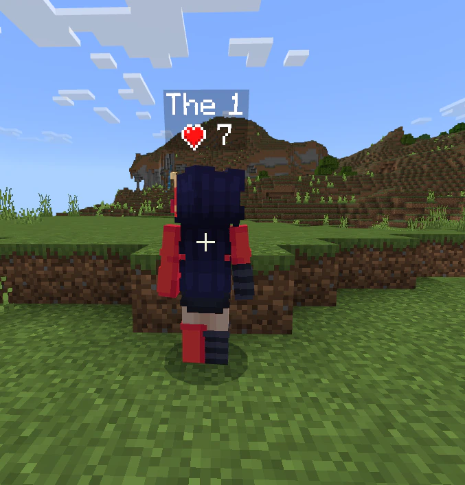 Health Display Addon (26.x, 1.21) – MCPE/Bedrock Mod — screenshot 4