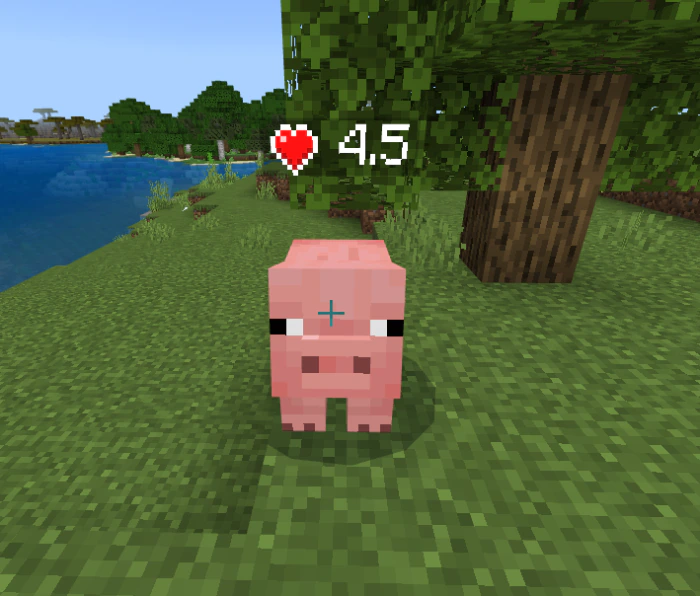 Health Display Addon (26.x, 1.21) – MCPE/Bedrock Mod — screenshot 5