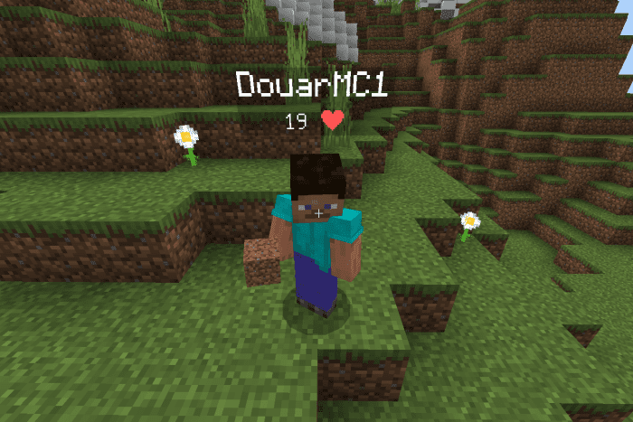 Display Player Health Addon (1.21, 1.20) – MCPE/Bedrock Script — screenshot 1