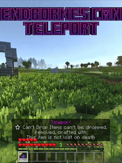 Reborne Addon (1.21, 1.20) – MCPE/Bedrock Origins Mod — screenshot 2