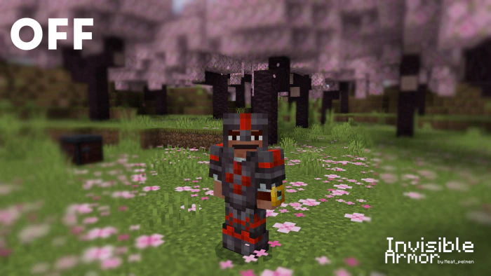Invisible Armor Texture Pack (26.x, 1.21) – MCPE/Bedrock — screenshot 1