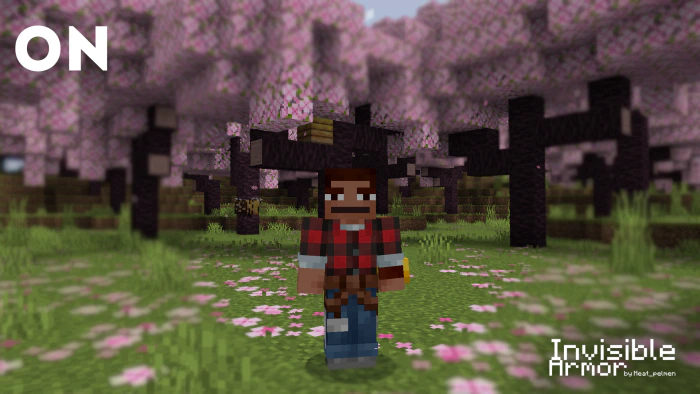 Invisible Armor Texture Pack (26.x, 1.21) – MCPE/Bedrock — screenshot 2
