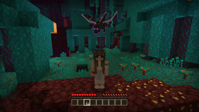 Baby Ender Dragon Addon (1.20) – MCPE/Bedrock Mod — screenshot 2