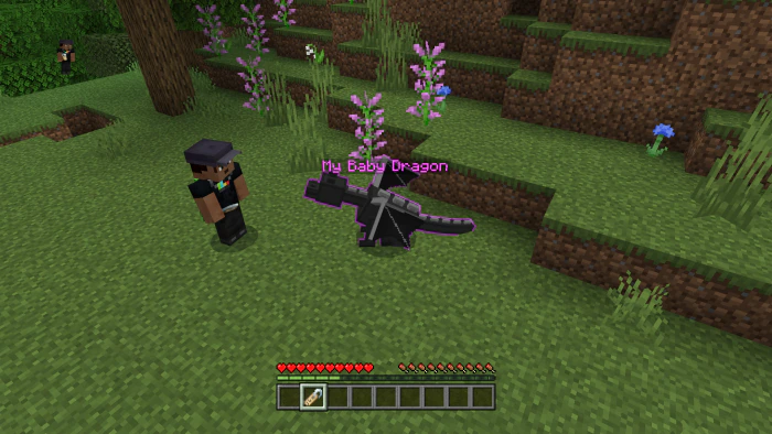 Baby Ender Dragon Addon (1.20) – MCPE/Bedrock Mod — screenshot 4