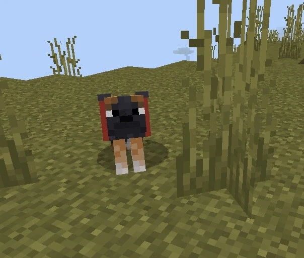 The Pug Addon (1.20) – MCPE/Bedrock Dog Mod — screenshot 2