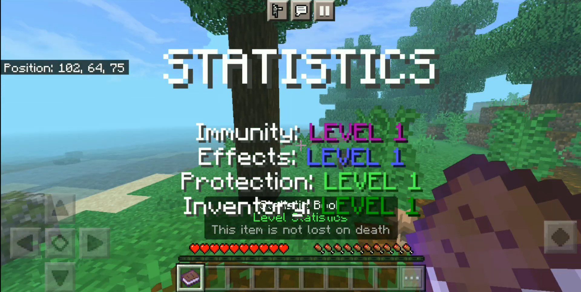 Level Statistics Addon (1.20) – MCPE/Bedrock Mod — screenshot 4
