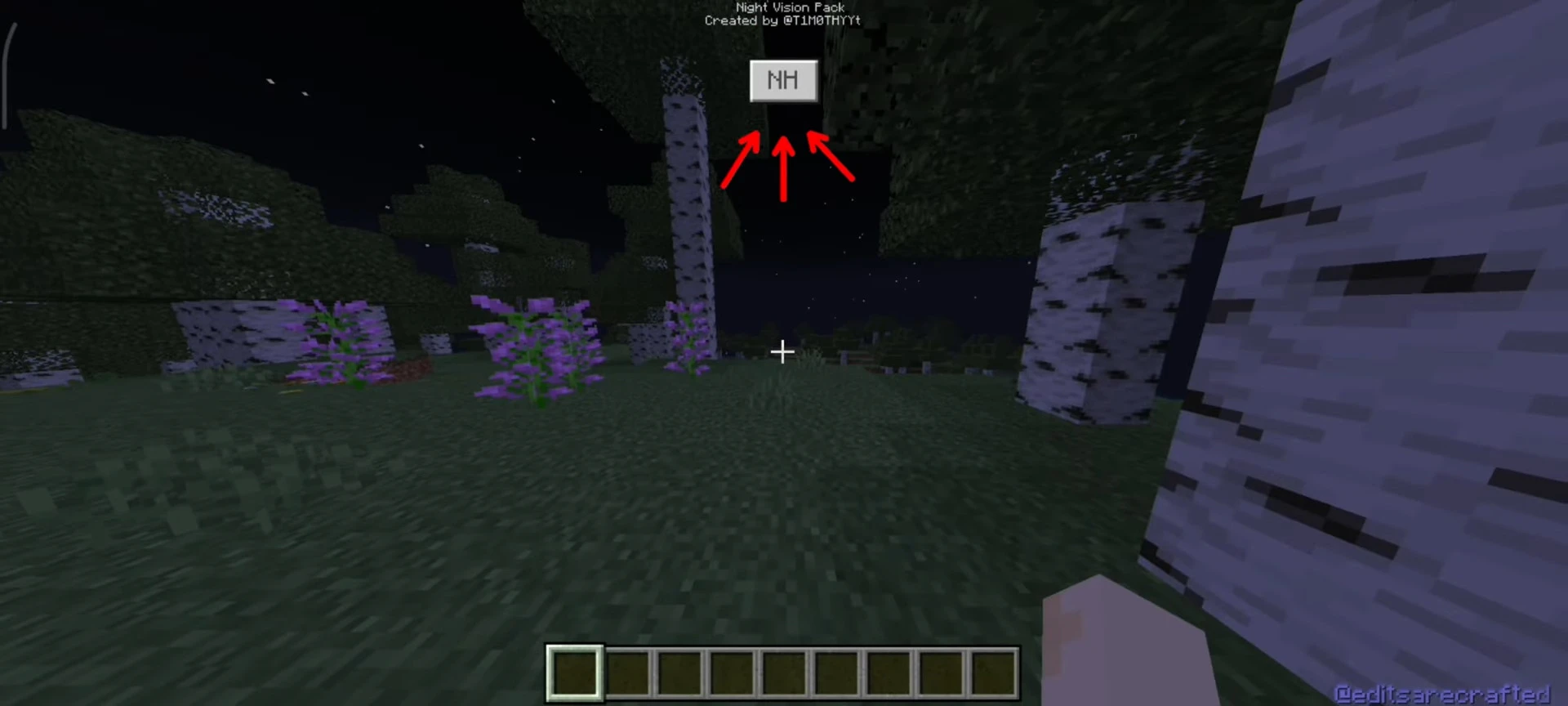Full Bright Texture Pack (26.x, 1.21) – MCPE/Bedrock — screenshot 4