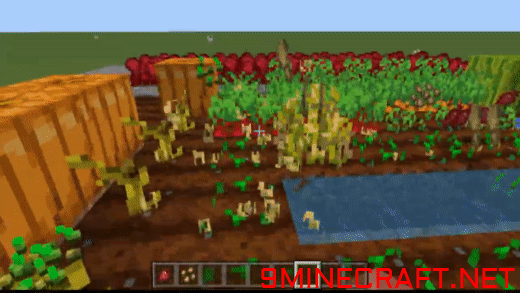 Right-Click Harvest Addon (1.20, 1.19) – MCPE/Bedrock Mod — screenshot 1