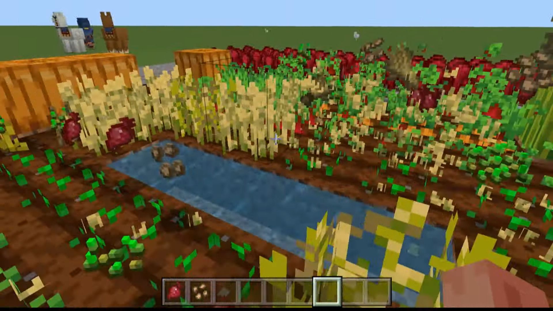 Right-Click Harvest Addon (1.20, 1.19) – MCPE/Bedrock Mod — screenshot 3