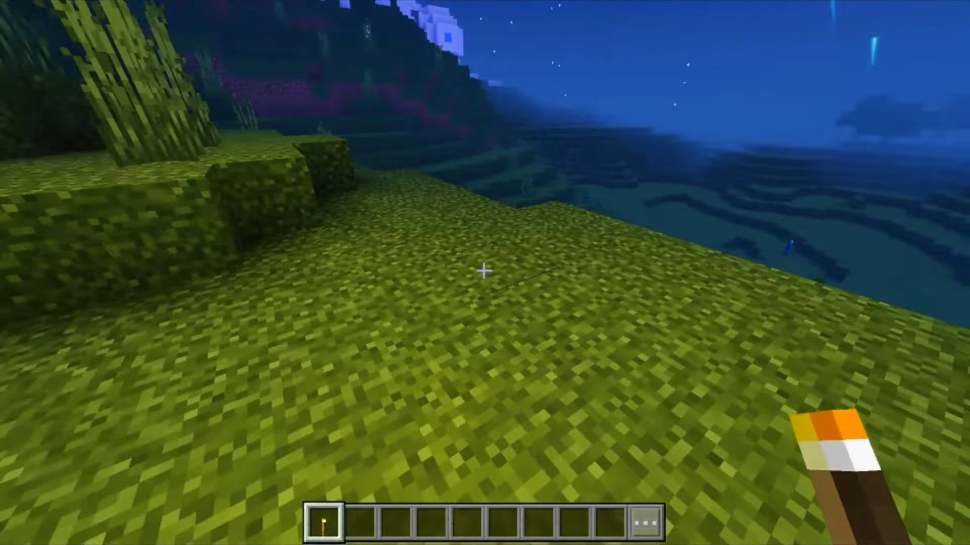 Dynamic Lighting with Torches Texture Pack (26.x, 1.21) – MCPE/Bedrock — screenshot 2