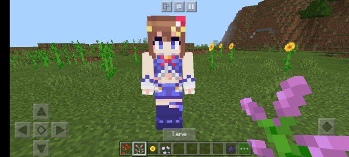 Favorites Waifu Addon (1.20, 1.19) – Anime, Game, Vtuber — screenshot 5