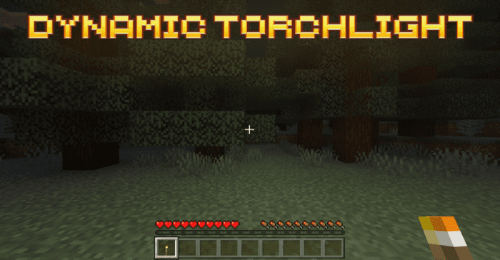Dynamic Torchlight Addon (1.20) – MCPE/Bedrock Mod