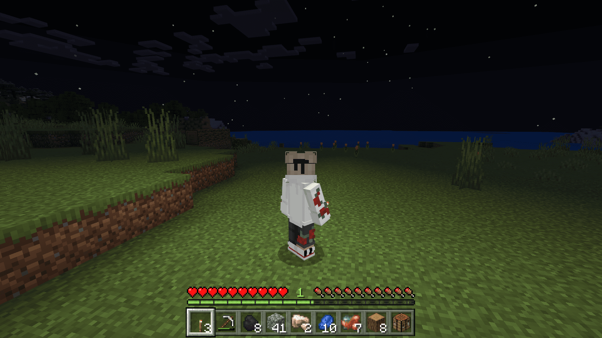 Dynamic Torchlight Addon (1.20) – MCPE/Bedrock Mod — screenshot 2