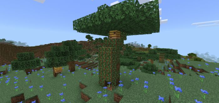 More Tree Variants Addon (1.20, 1.19) – MCPE/Bedrock Mod — screenshot 3