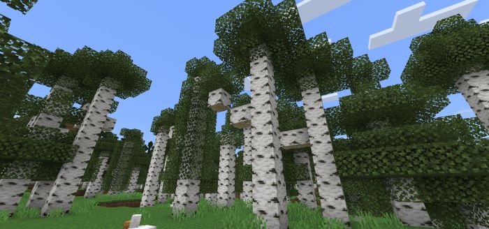 More Tree Variants Addon (1.20, 1.19) – MCPE/Bedrock Mod — screenshot 5