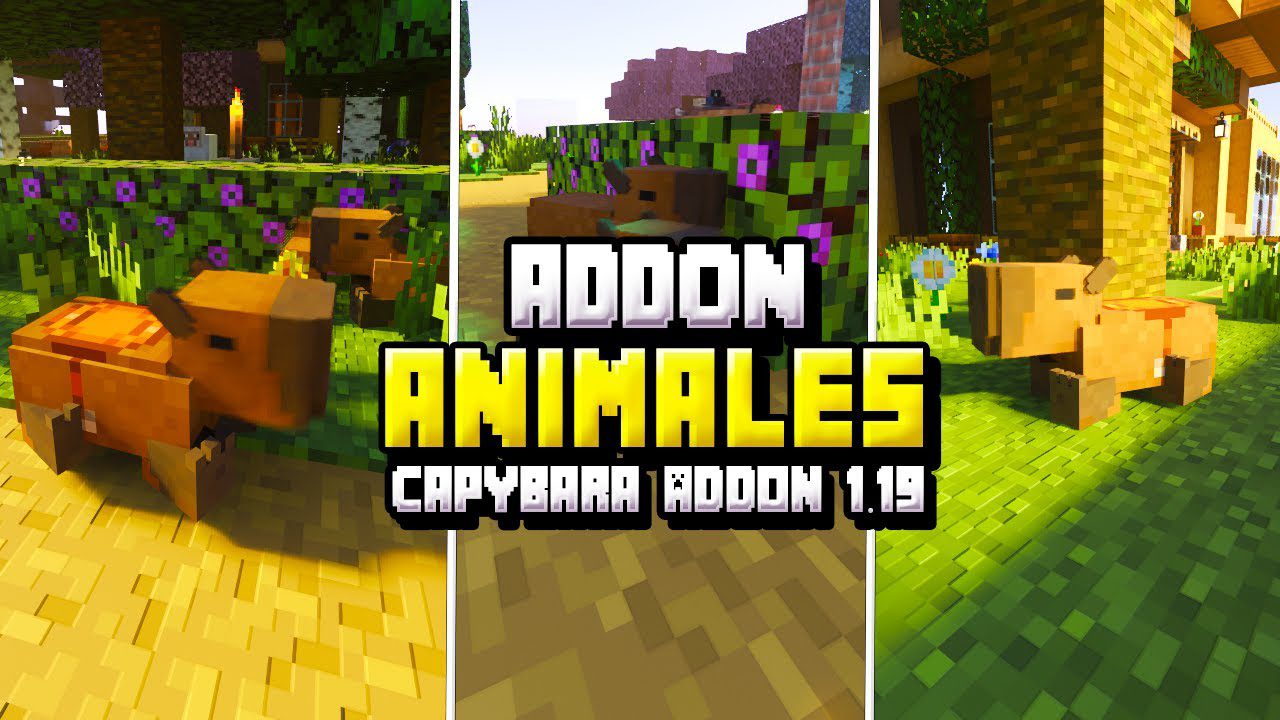 Capybaras Addon (1.20, 1.19) – MCPE/Bedrock Mod