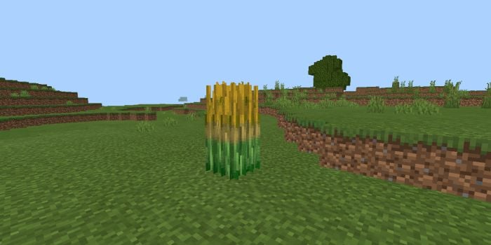 More Food Addon (1.19, 1.18) – MCPE/Bedrock Mod — screenshot 1
