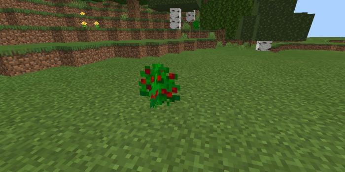 More Food Addon (1.19, 1.18) – MCPE/Bedrock Mod — screenshot 2