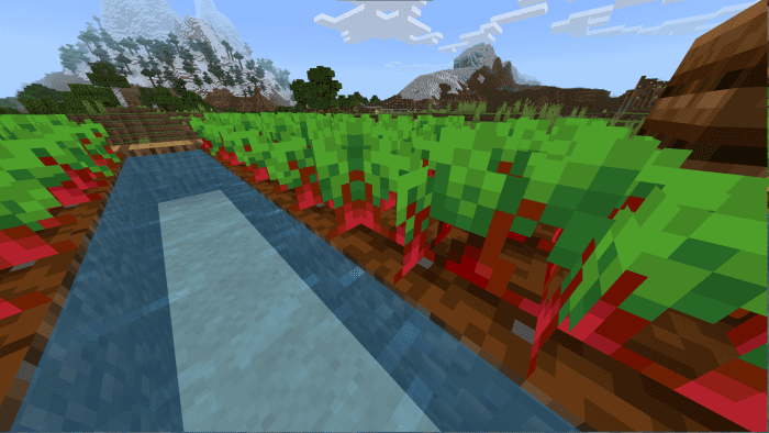 Variated Crops Texture Pack (1.20, 1.19) – MCPE/Bedrock — screenshot 3