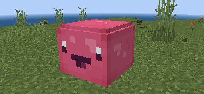 Slime Rancher Addon (1.19) – MCPE/Bedrock Mod — screenshot 1