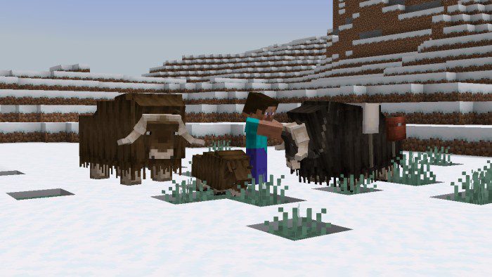 Arctic Addon (1.19) – MCPE/Bedrock Mod — screenshot 5