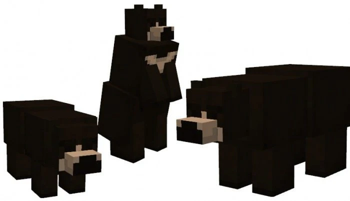 Black and Grizzly Bear Addon (1.19) – MCPE/Bedrock Mod — screenshot 1