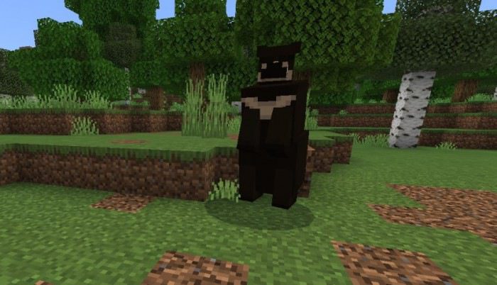 Black and Grizzly Bear Addon (1.19) – MCPE/Bedrock Mod — screenshot 6