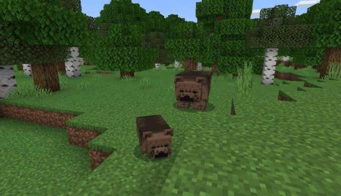 Black and Grizzly Bear Addon (1.19) – MCPE/Bedrock Mod — screenshot 7