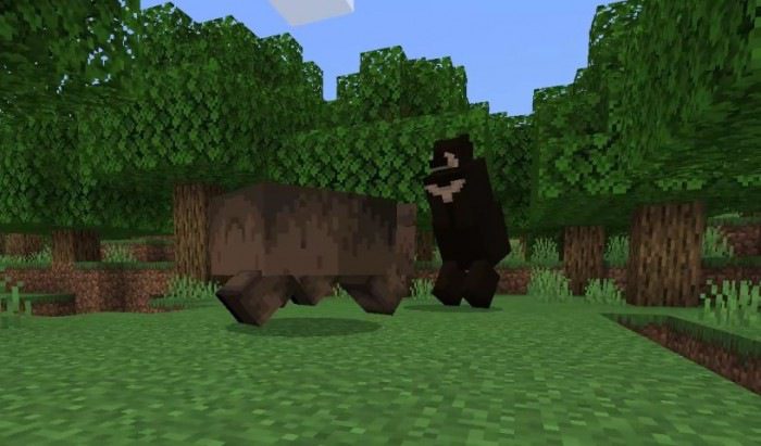 Black and Grizzly Bear Addon (1.19) – MCPE/Bedrock Mod — screenshot 8
