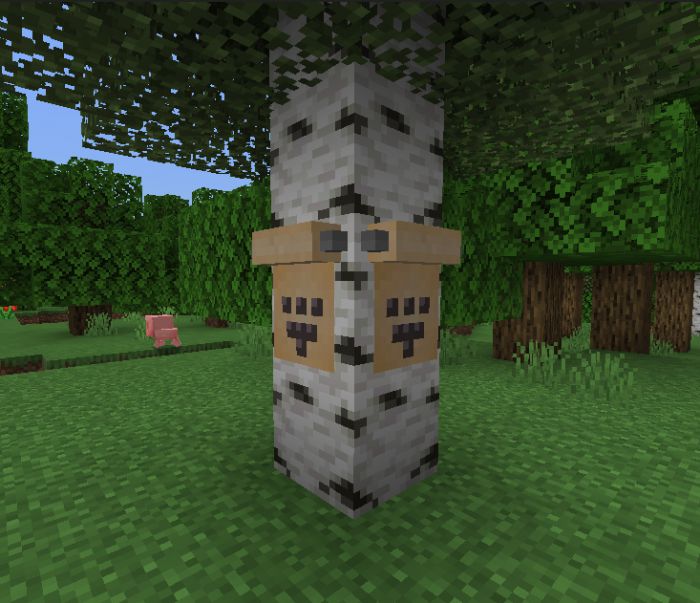 chusFishing Addon (1.19) – MCPE/Bedrock Mod — screenshot 5